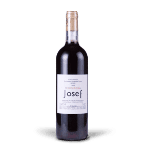 191201_deraisin_photo_Josef_senzatitolo_2018