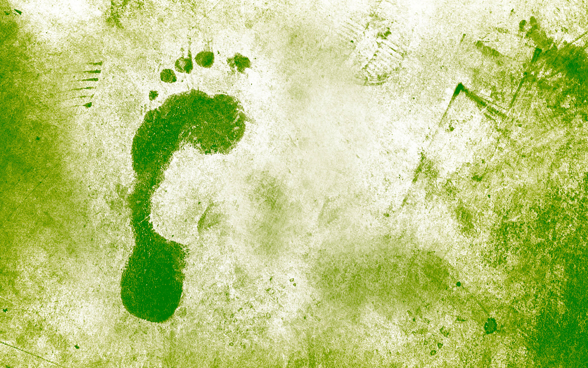 Vin naturel et bilan carbone